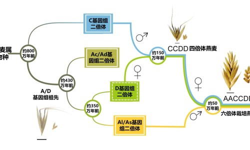 京都念慈庵庵枇杷膏的功效-京都念慈庵止咳糖浆功效网—知名的京都念慈庵止咳糖浆有什么副作用网站,分享京都念慈庵止咳糖浆有什么副作用知识